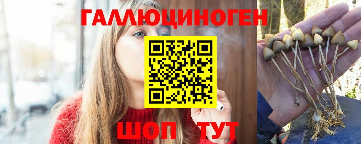 Полысаево  Псилоцибиновые грибы мухоморы  Вход с VPN  Галлюциногенные грибы Magic Shrooms 